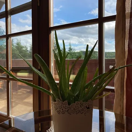Velemi Vendeghaz Guest house