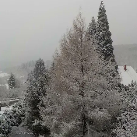 Vendégház Velemi Vendégház 3*